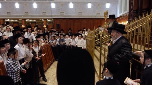 "אחשוב עליכם מירושלים": שמחת הברית וביטול השבת בנוף הגליל בבעלזא