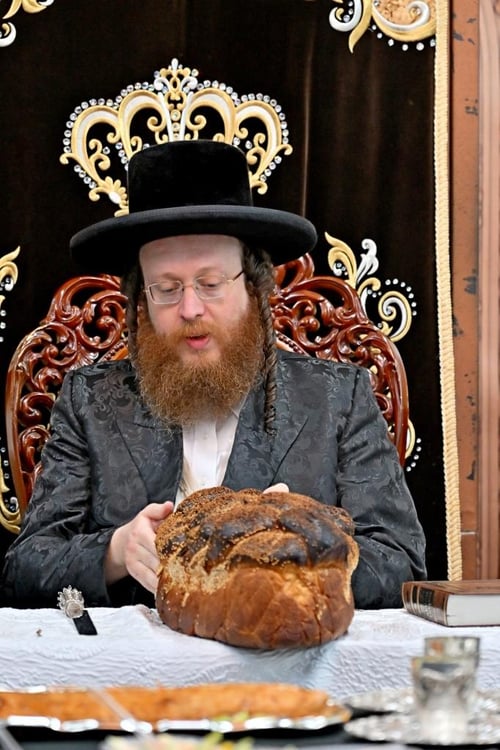 מגולדקנופף ובבצ'יק ועד רבני העיר | כל המי ומי השתתפו בהילולא בספינקא בית שמש 