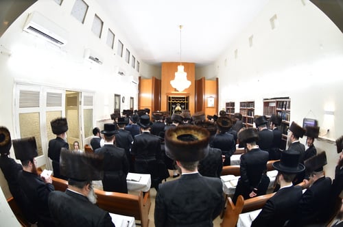 כ"ז שנים לראש ישיבה הנערץ | כך ציינו בשאץ ויז'ניץ את יום ההילולא