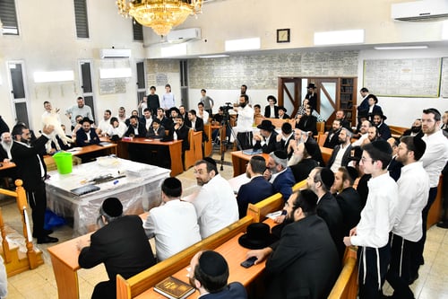 המחזה שהרעיד את בית המדרש: גדי נשחט בסמוך לארון הקודש בבני ברק; זו הסיבה