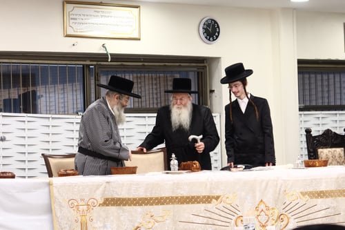 בעזרת נשים | נכדת האדמו"ר מתולדות אהרן התארסה עם נכד אחיו האדמו"ר מנחלת אהרן