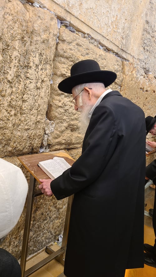 שבעת ימי התשלומין | רגעי ההוד של הגר"ע אויערבאך בכיסופים מול מקום המקדש