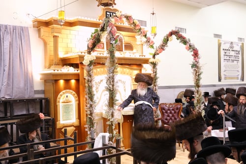 התעלות, חידושים והתרגשות עצומה; חג השבועות בחצר הקודש נדבורנה ירושלים