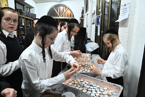 טיש הילולא בשילוב שבע ברכות במודז'יץ | הגיסים האדמו"רים נועדו יחדיו 
