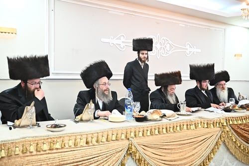 חסידי זוועהיל, סקולען ועכו פיזזו יחדיו בבני ברק | צפו בתיעוד