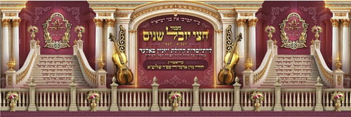 אחרי תקופה ארוכה: הרבי מויז'ניץ חזר לאלעד והכריז: "זה התפקיד של כל יהודי"
