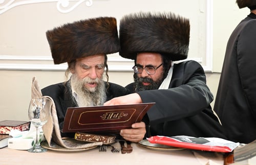 בת האב"ד מנתניה ונכדת האדמו"ר מב"ב נישאה לבן המו"ץ מירושלים | צפו בגלריה