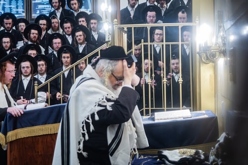 בשווי חצי מיליון דולר; האדמו"ר מסאטמר הניח לראשונה את התפילין מירושת אבותיו