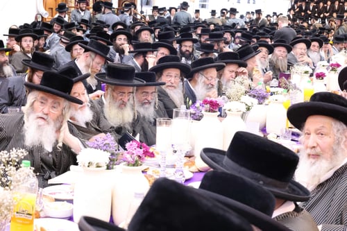 לקראת ימי המנוחה בהונגריה; החסידים יתכנסו הערב בביהמ"ד הגדול לשיחת פרידה