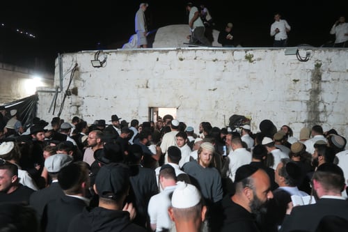 מהצלחות הצ'ולנט המבהילות ועד לריקודים | אלפים בהילולת יוסף הצדיק בשכם