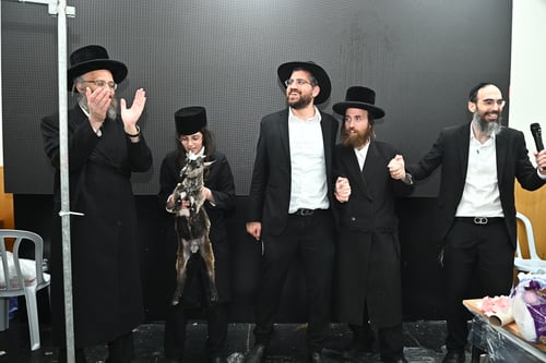 הכבש שנשחט כדוגמה, הצטרף למעגלי הלומדים של 'דף היומי' | צפו בתיעוד
