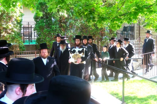 הקושיה שנשארה בישיבה והחברותא מקנדה; הרבי מסאטמר המריא לימי מנוחה