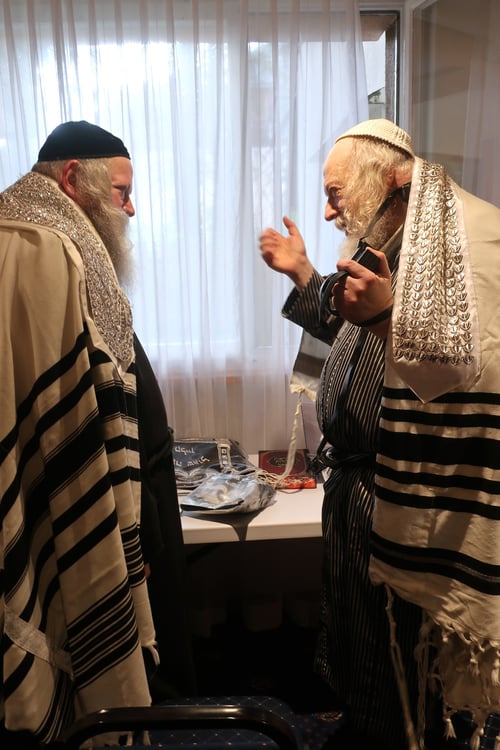 בין הרי שווייץ למפלי המים; תיעוד מרהיב מרגעי ההוד של מנוחת האדמו"ר בדאבוס