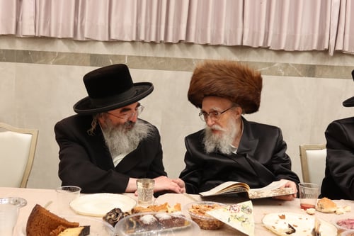האדמו"ר שהסתלק לפתע - היה חסר | בלעלוב בר אילן חגגו אירוסין לנכדת הרבי