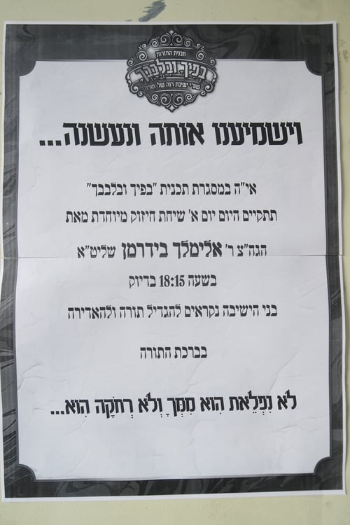 כמו אדמו"ר | כך קידמו בחורי כרמיאל את רבי אלימלך 
