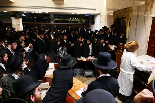 התיעוד שמעורר שיח בחצר | האדמו"ר הופיע עם הקאלפיק לאמירת 'איכה'