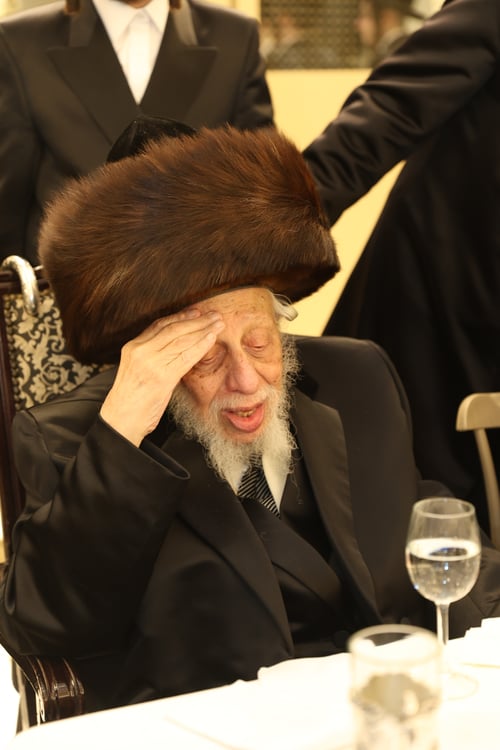בני ברק חגגה | שמחת הנישואין לנכד זקן אדמו"רי רוז'ין • גלריית אדמו"רים השתתפה