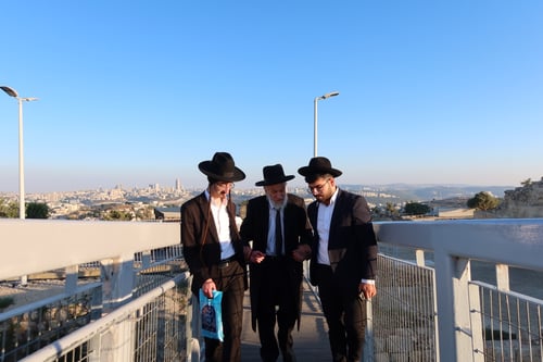 לאחר שנים רבות | הגאון רבי אברהם טופיק הגיע לציון שמואל הנביא