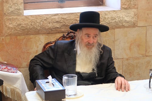 המונים נהרו לנחם את האדמו"ר מהארנסטייפל