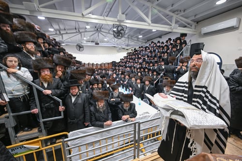 ברית לבן האדמו"ר מזוועהיל