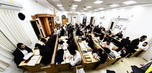 כולל צאנז ז'מיגראד נפתח בהשתתפות רחבה
