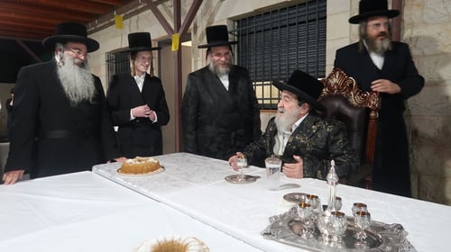נכדת האדמו"ר מויז'ניץ התארסה