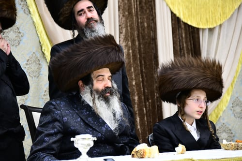 שמחה גדולה בחצר זוטשקא