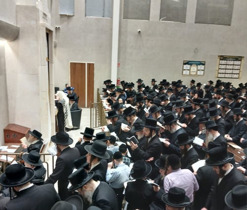 אלפים בסליחות 'זכור ברית' באנטוורפן
