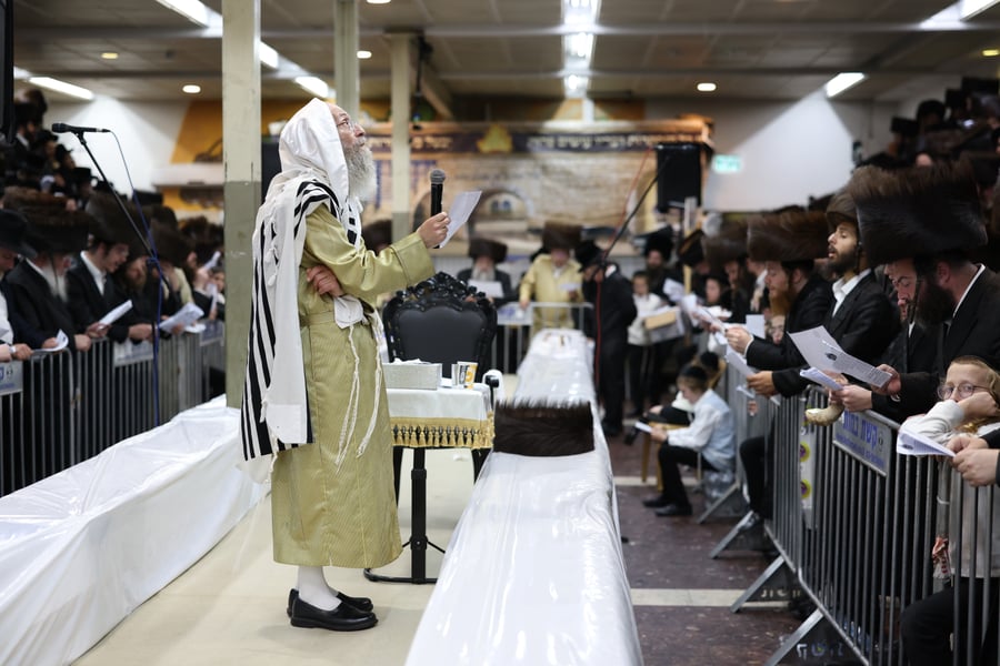 הרה"צ רבי אלימלך בידרמן במירון