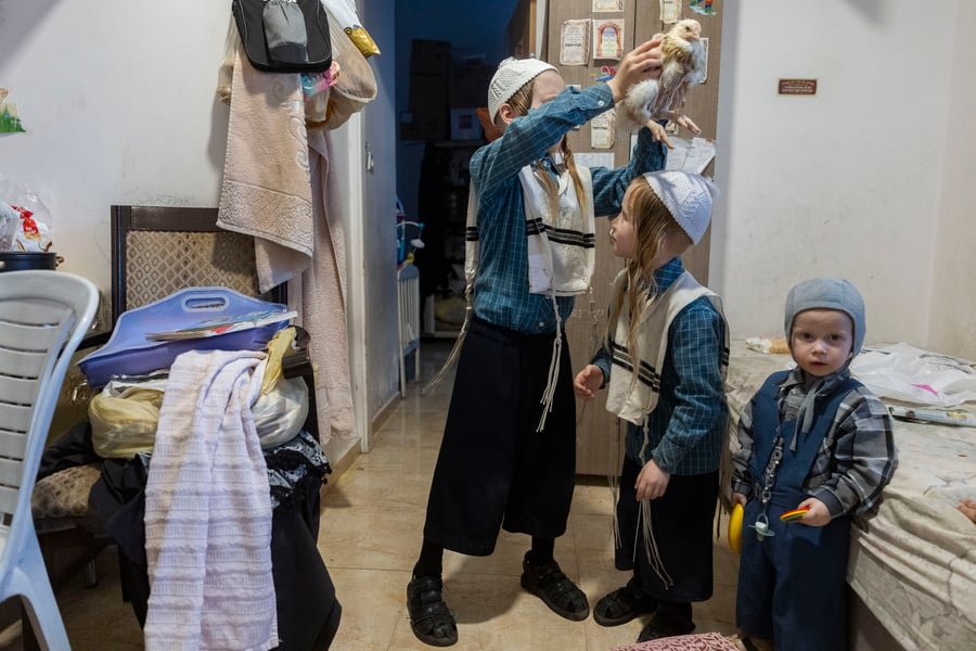ילדי מאה שערים עושים כפרות על תרנגולים לבנים