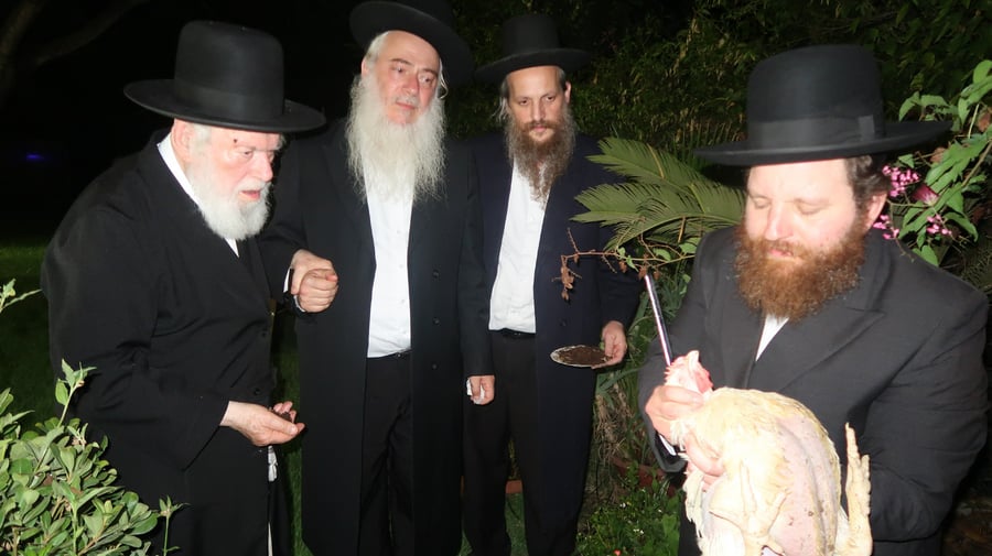 הגר"י זילברשטיין שליט"א במנהג כפרות