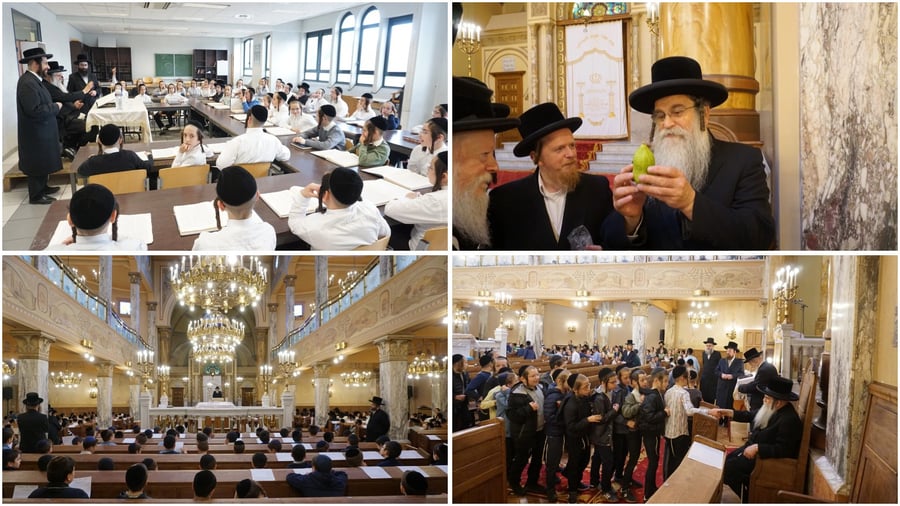חודש תשרי בצילו של גאב"ד אנטווערפן | צילום: באדיבות המצלם