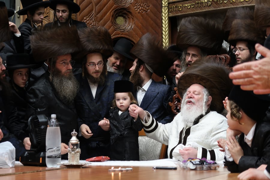שמחת החלאקה לנכד האדמו"ר מפרמישלאן שליט"א | צילום: י. פריד