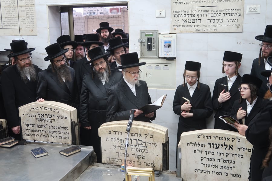 הילולא קדישא בסערט ויז'ניץ | צילום: קול ברמה
