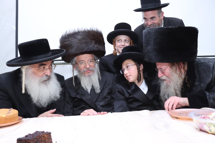 שמחת בר המצווה לנכד האדמו"ר מקוזמיר | צילום: י. פריד